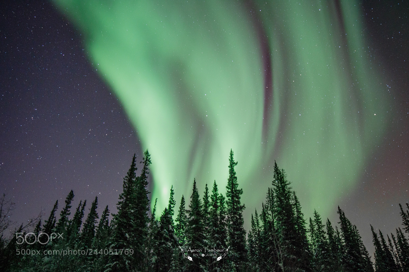 Canon EOS 750D (EOS Rebel T6i / EOS Kiss X8i) sample photo. Aurora mist photography