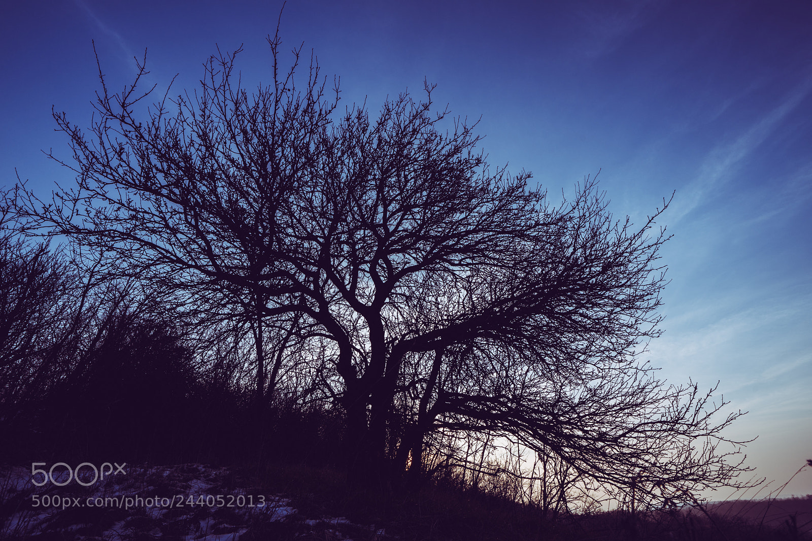 Sony a7 sample photo. T photography