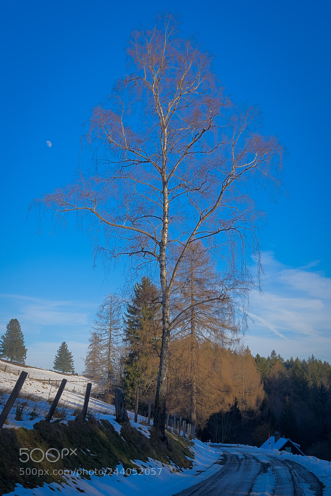 Pentax K-3 sample photo. Moon rise in alps photography