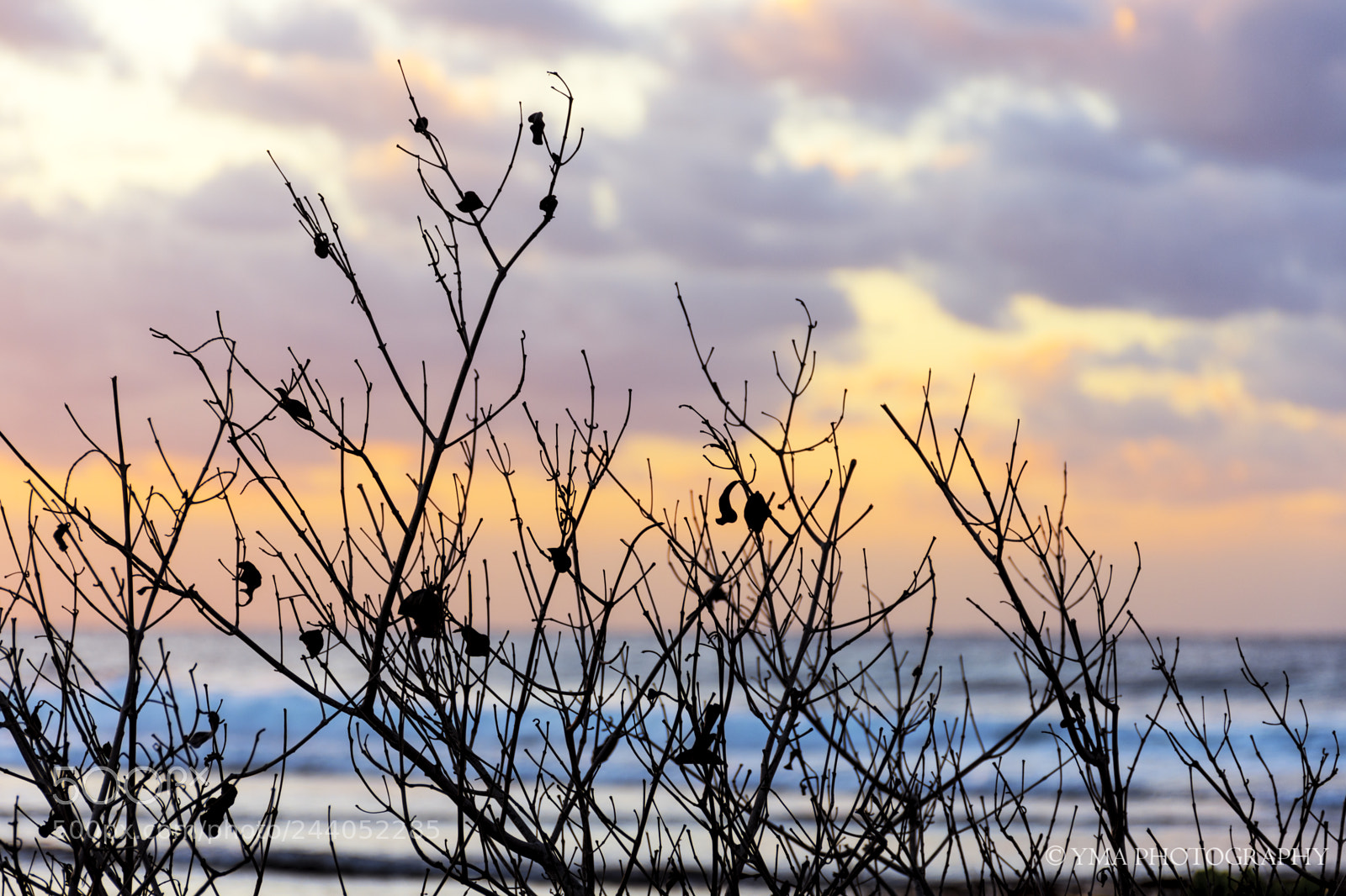 Nikon D7200 sample photo. Color y contraluz photography
