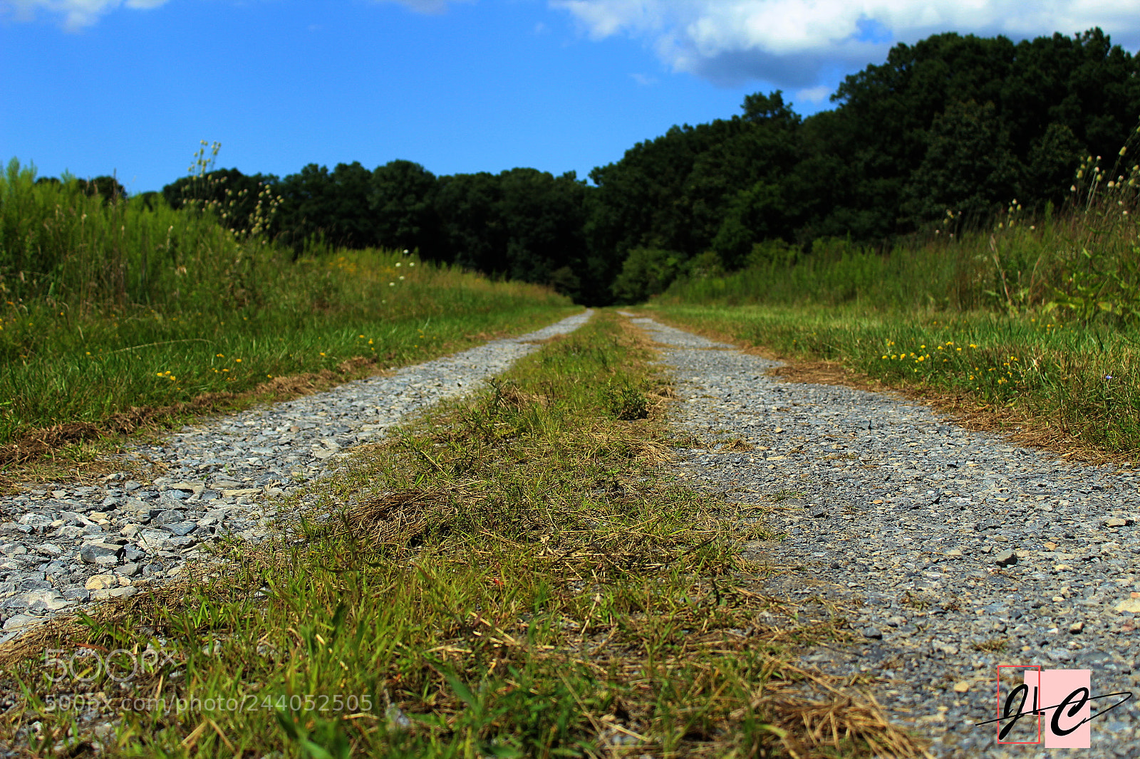 Canon EOS 1300D (EOS Rebel T6 / EOS Kiss X80) sample photo. Stone road-2 photography