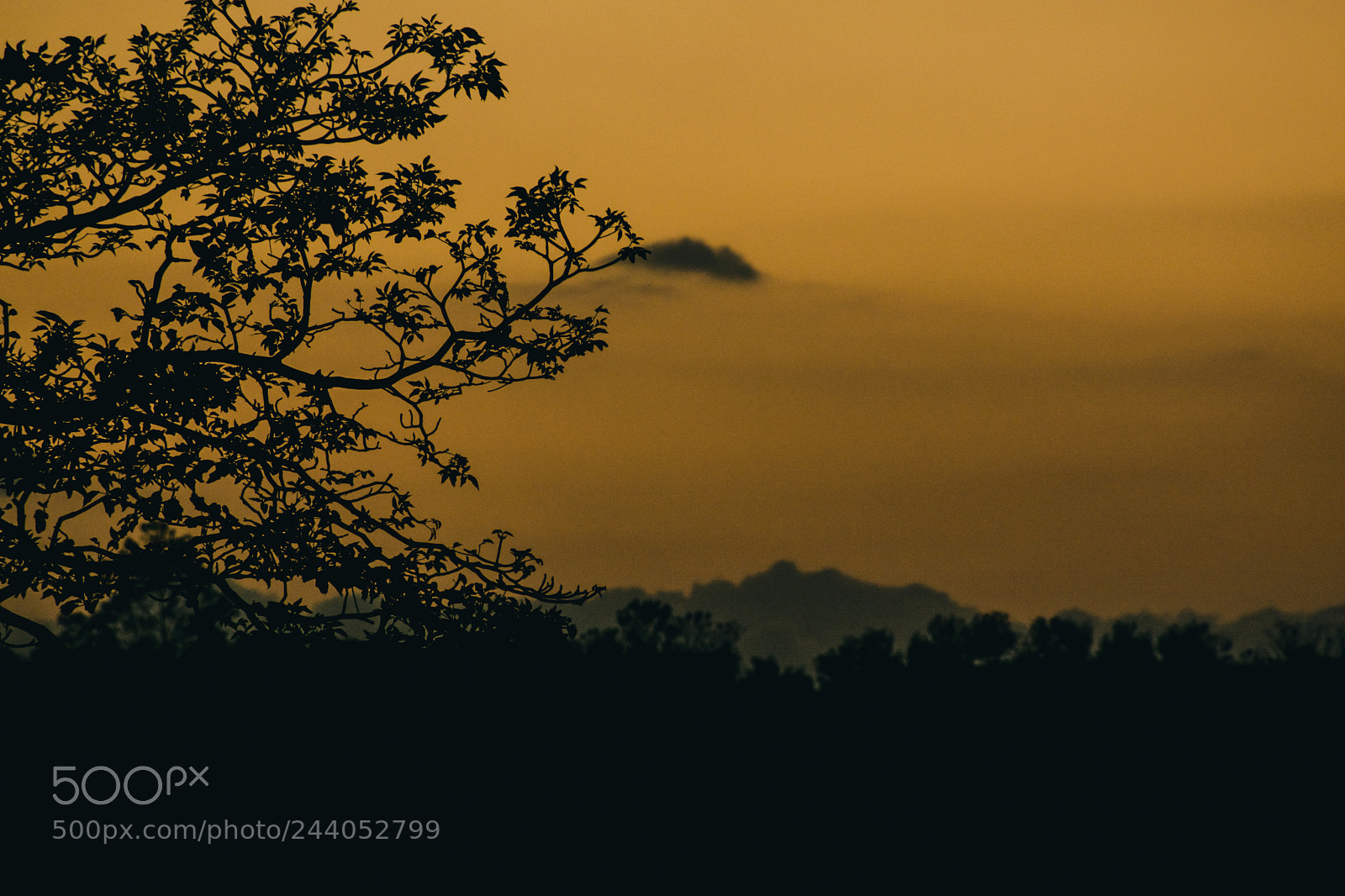 Nikon D3400 sample photo. Sunset silhoutte photography