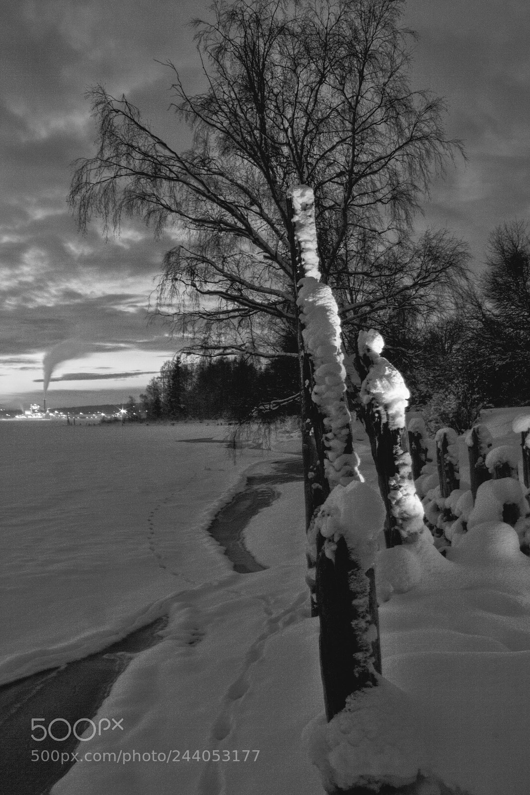 Canon EOS 550D (EOS Rebel T2i / EOS Kiss X4) sample photo. Winter at the bay photography