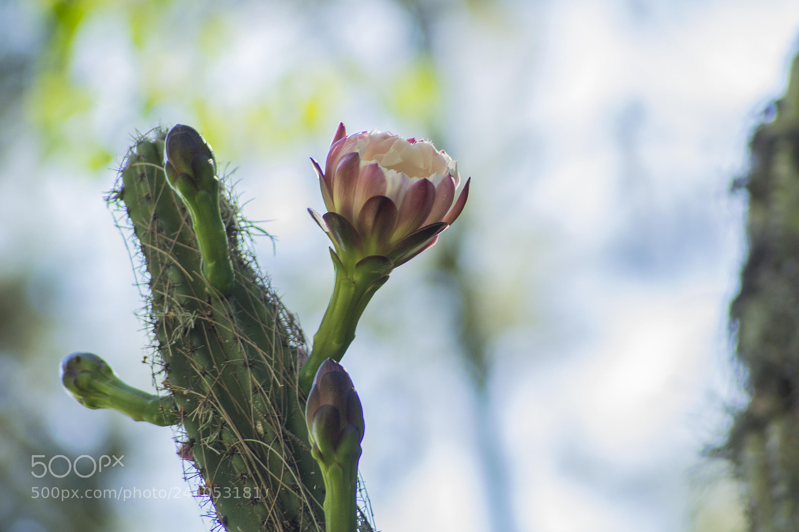 Canon EOS 700D (EOS Rebel T5i / EOS Kiss X7i) sample photo. Grandma photography