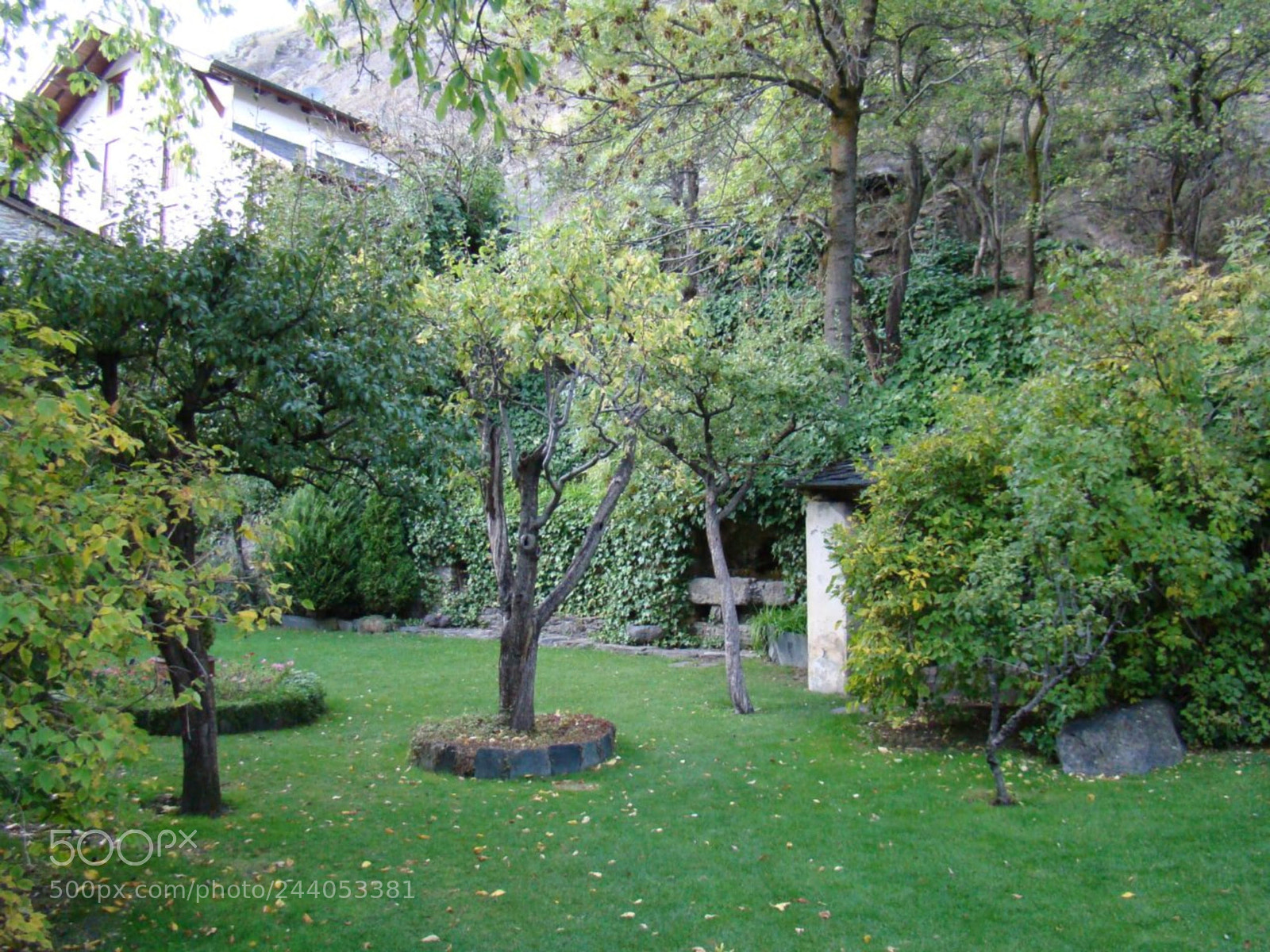 Sony DSC-H9 sample photo. Un jardín primitivo photography