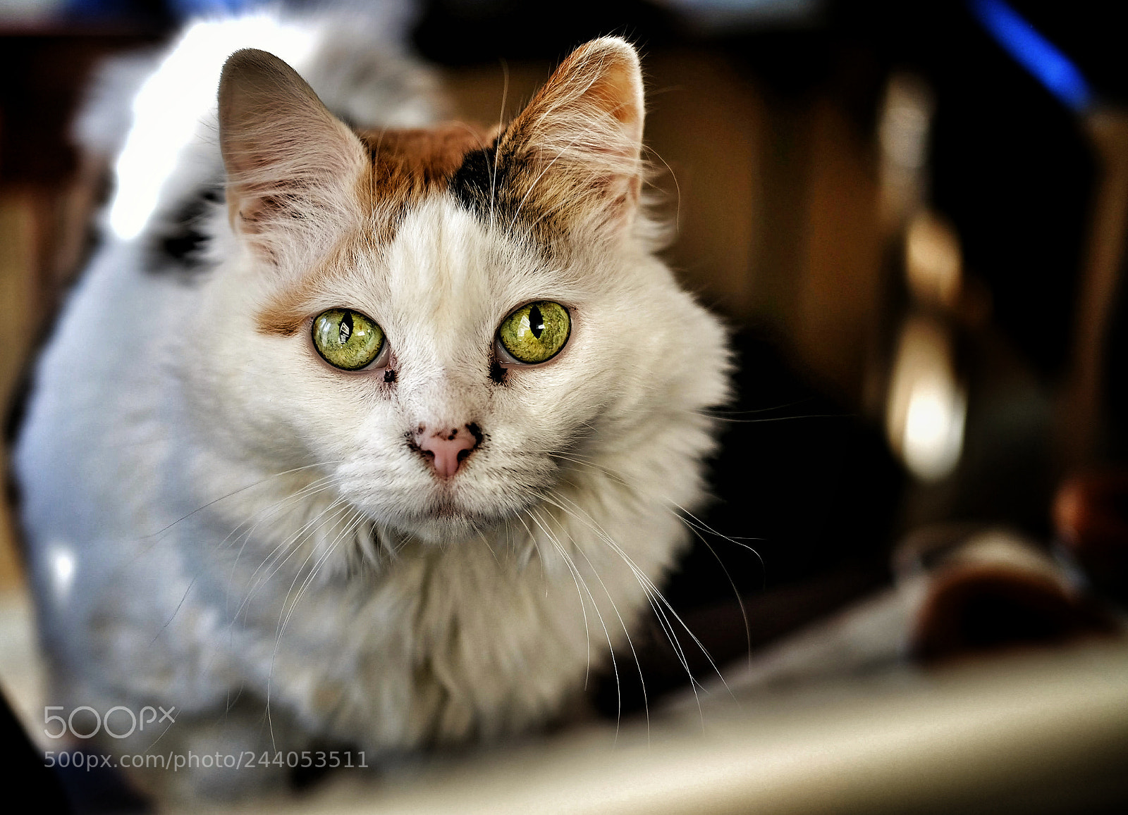 Fujifilm X-T20 sample photo. Untitled photography