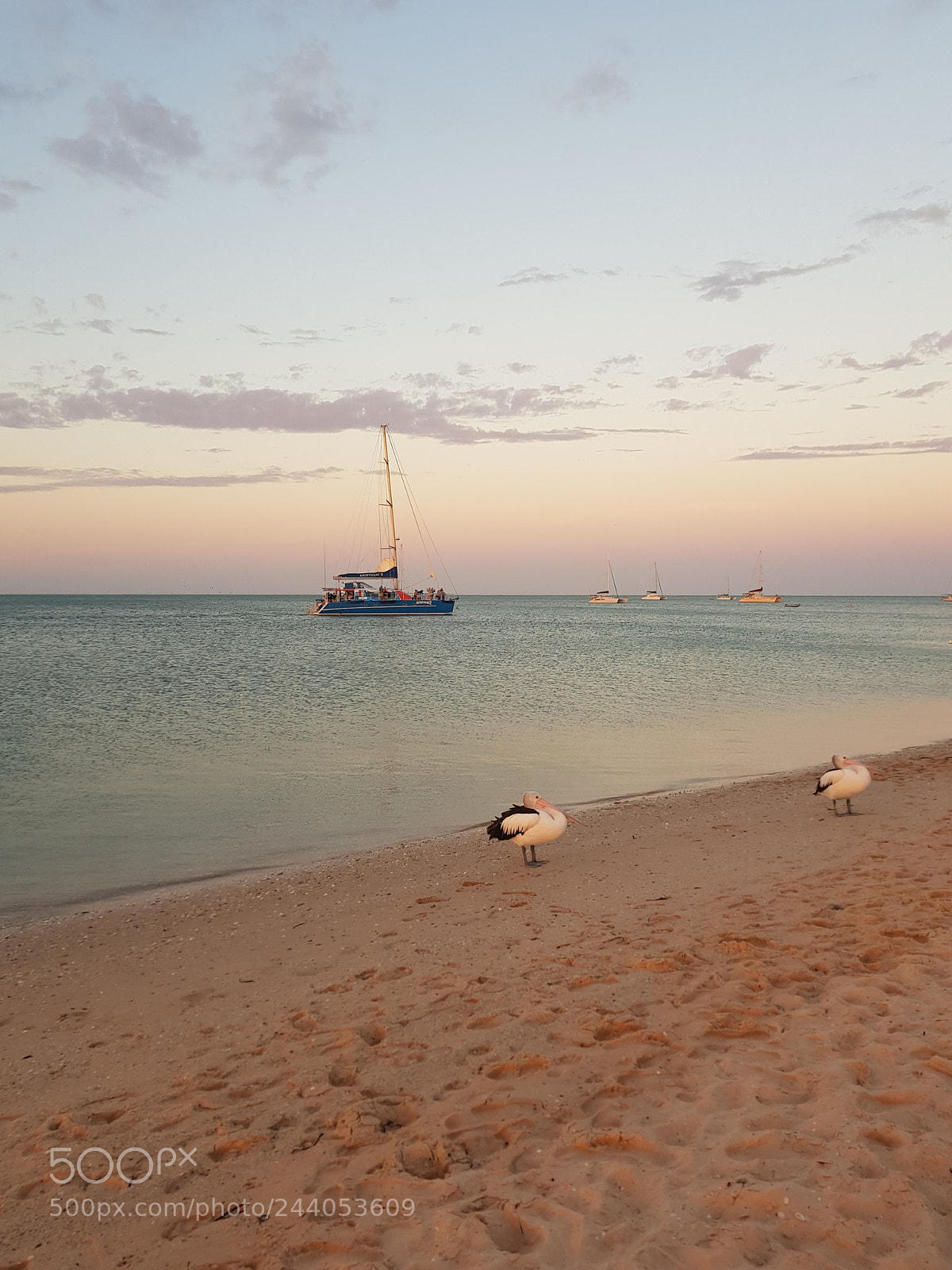 Samsung Galaxy S8 sample photo. Perth - exmouth photography