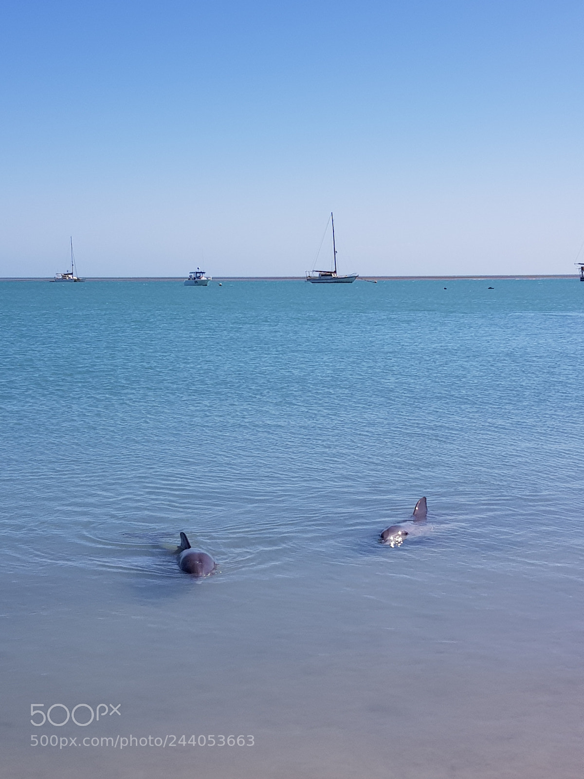 Samsung Galaxy S8 sample photo. Perth - exmouth photography