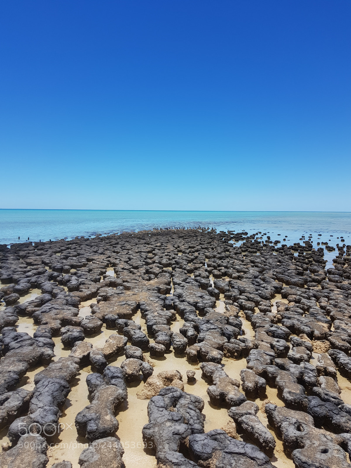 Samsung Galaxy S8 sample photo. Perth - exmouth photography