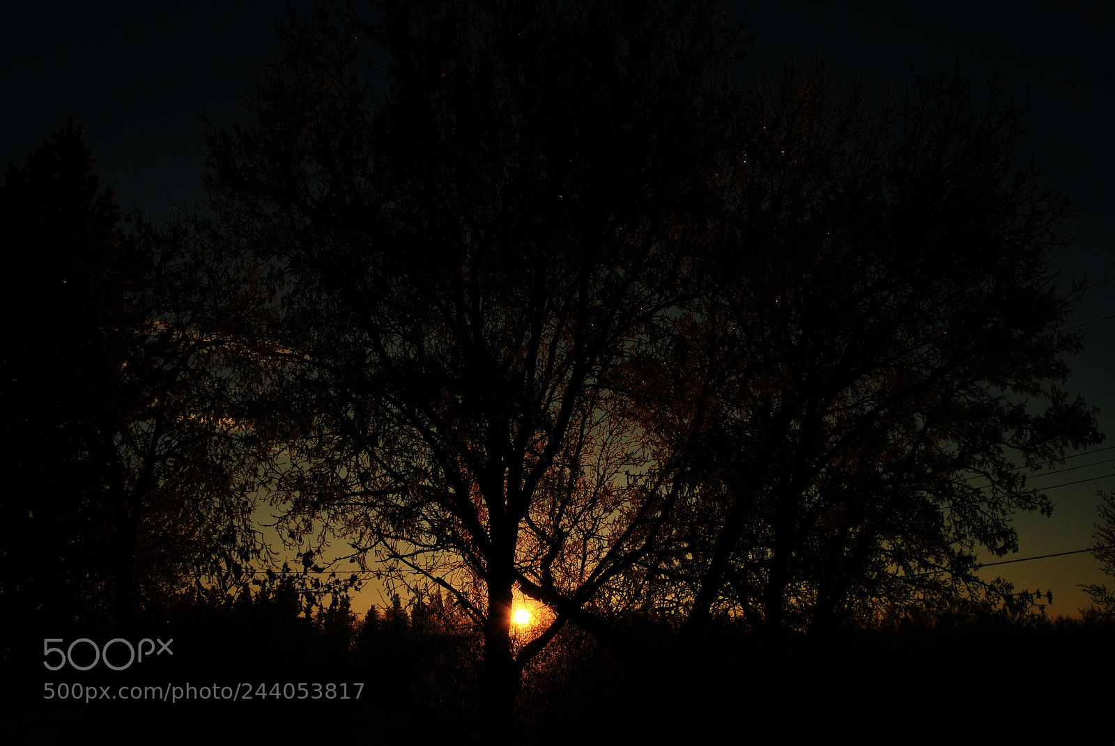 Nikon D3000 sample photo. Morning glow photography