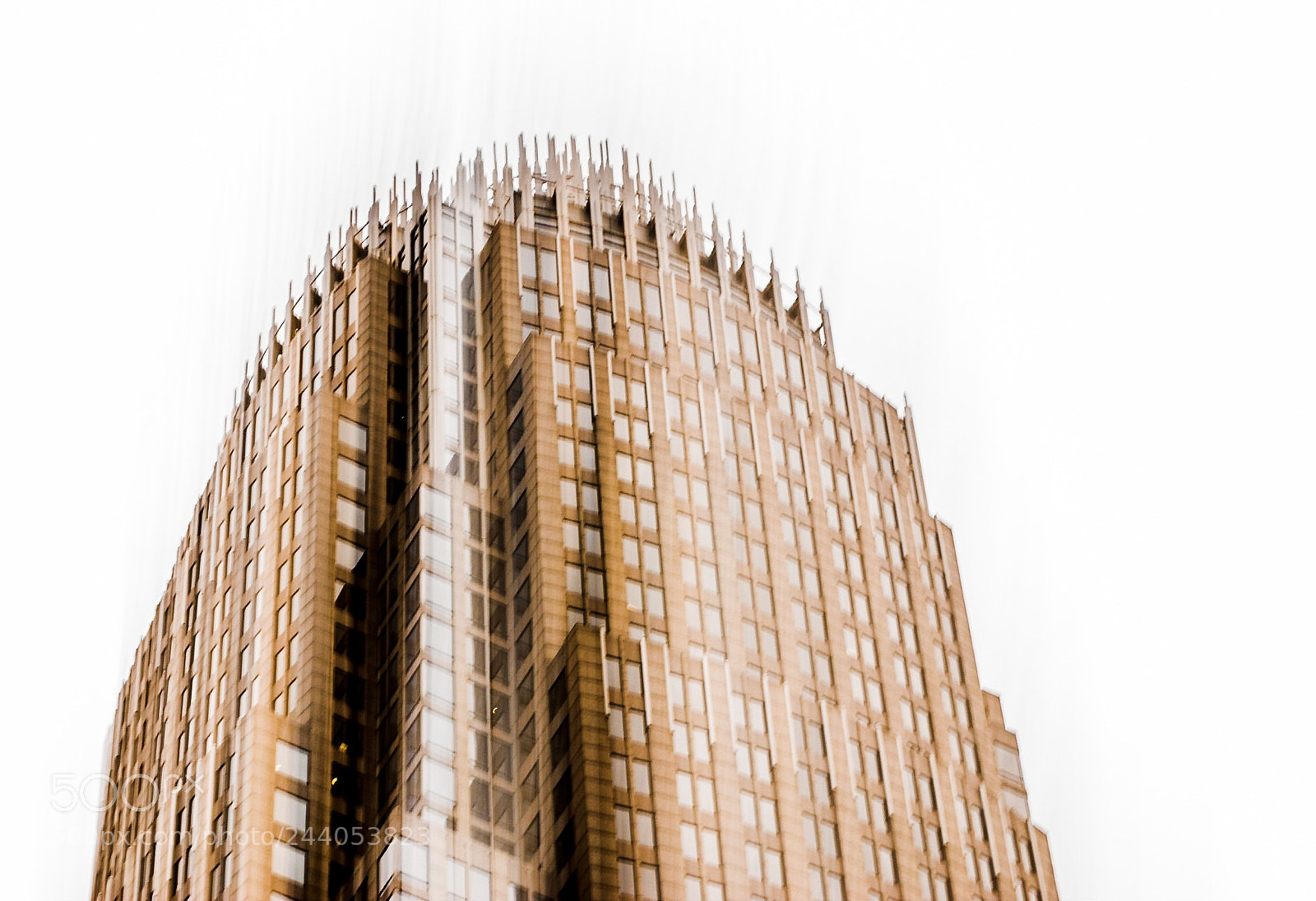 Nikon D5500 sample photo. She stands tall photography