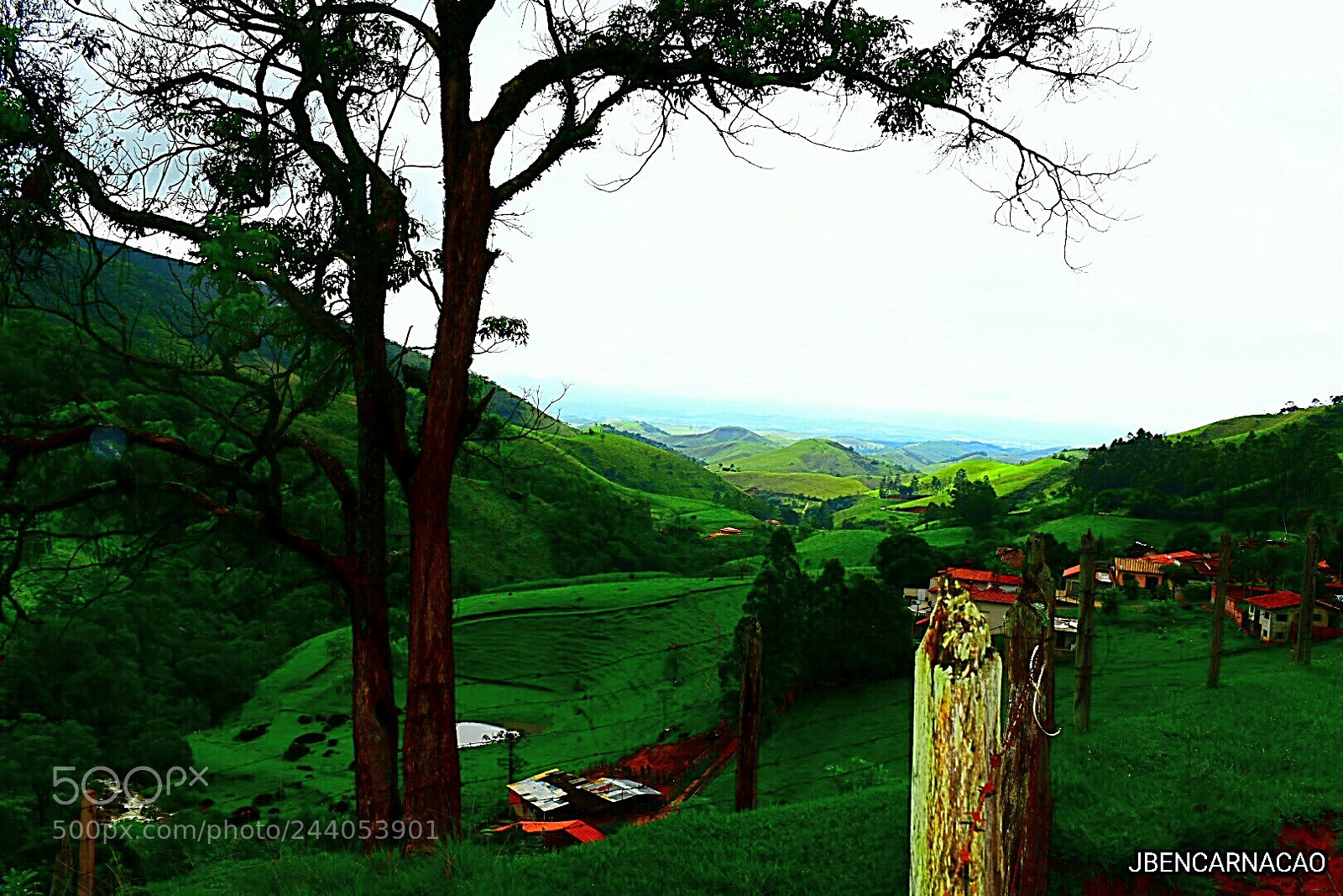 Nikon D5600 sample photo. Green montain photography