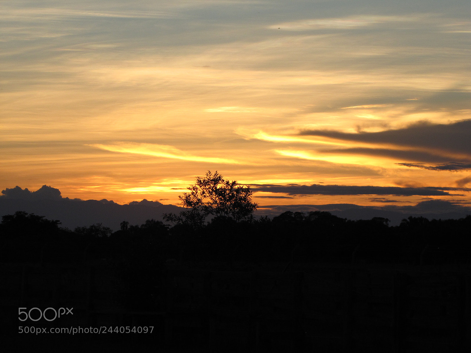 Canon PowerShot SX20 IS sample photo. Atardecer llanero photography