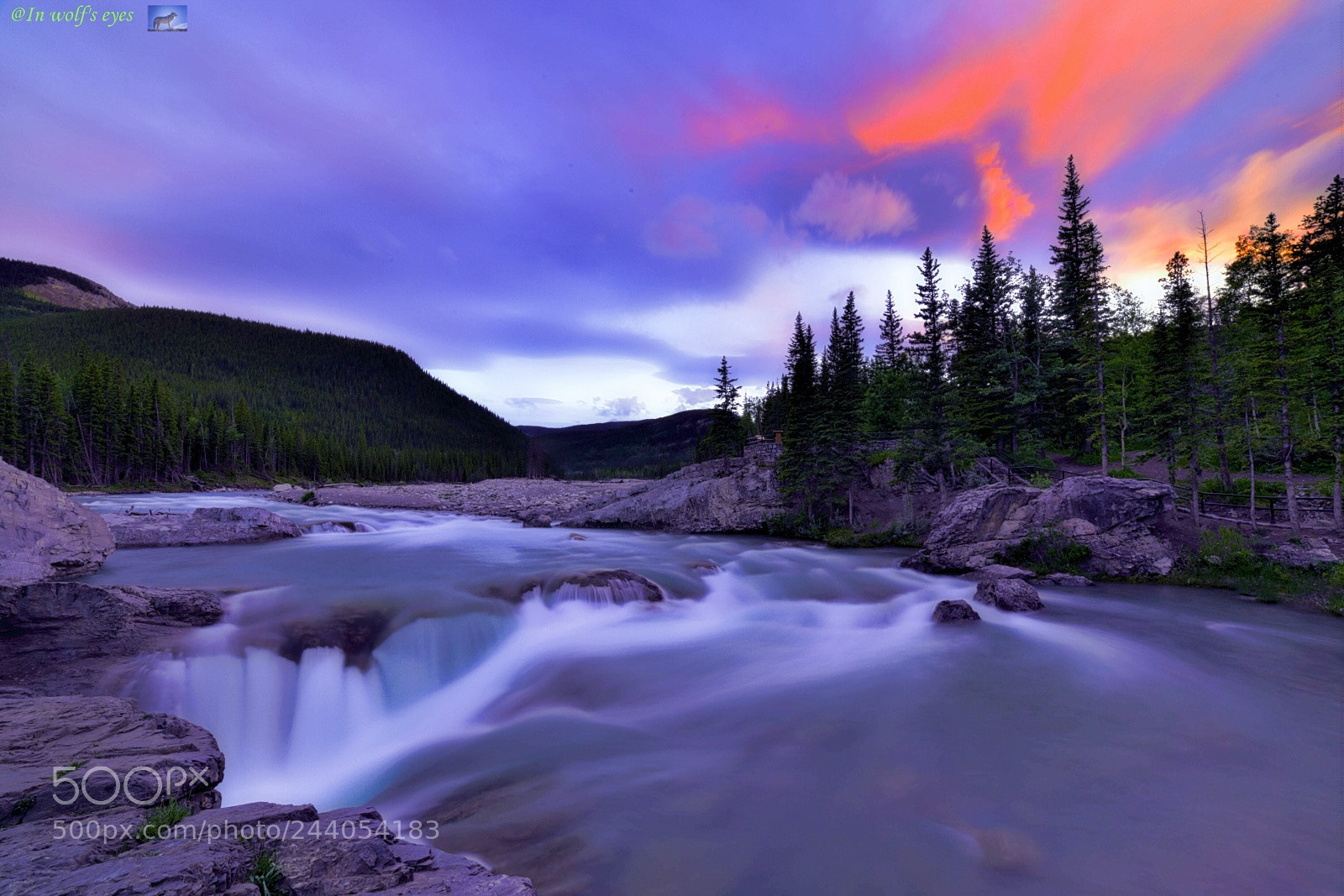 Nikon D810 sample photo. Frozen, canada photography