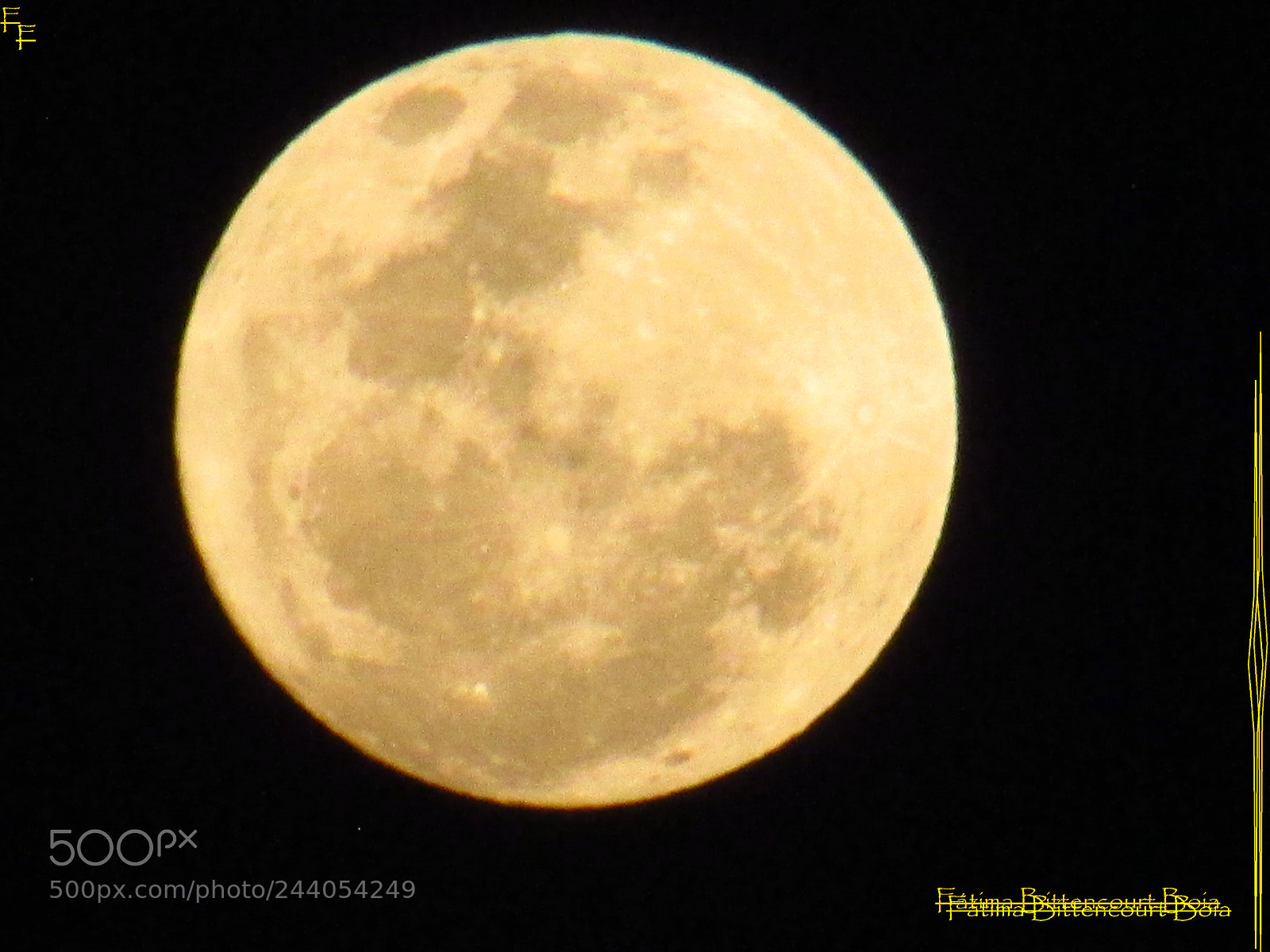 Canon PowerShot SX500 IS sample photo. 036.jpg photography