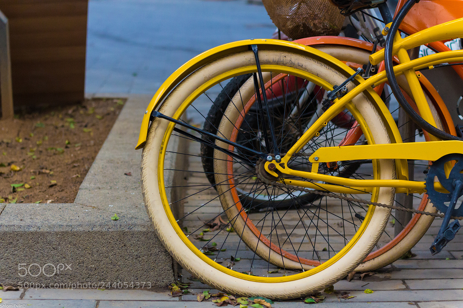 Canon EOS 60D sample photo. Old yellow photography