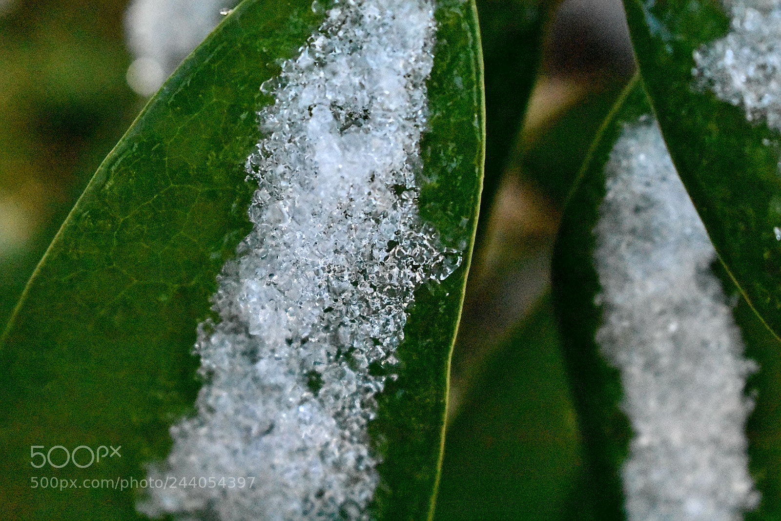 Nikon D3400 sample photo. Untitled photography