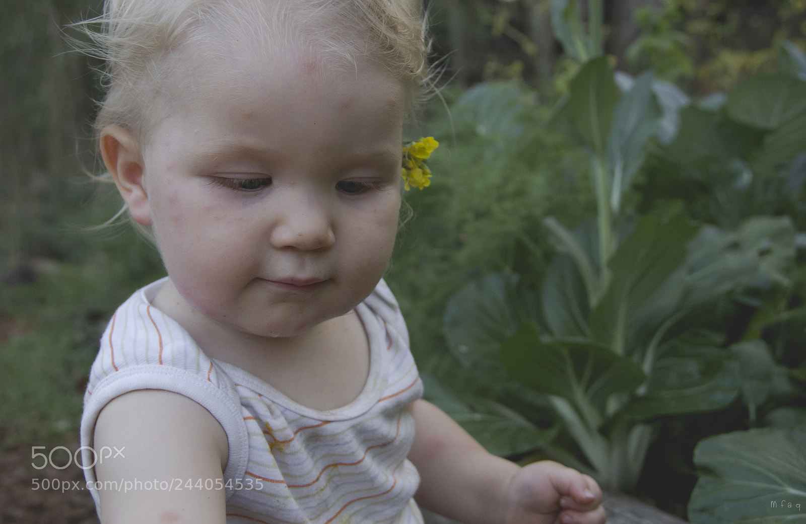 Canon EOS 60D sample photo. Elba en el huerto photography