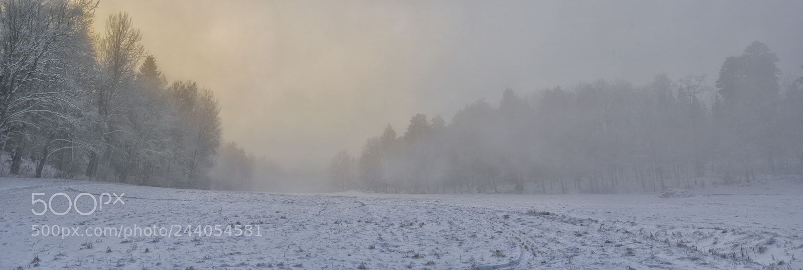 Nikon D90 sample photo. Niebla. photography