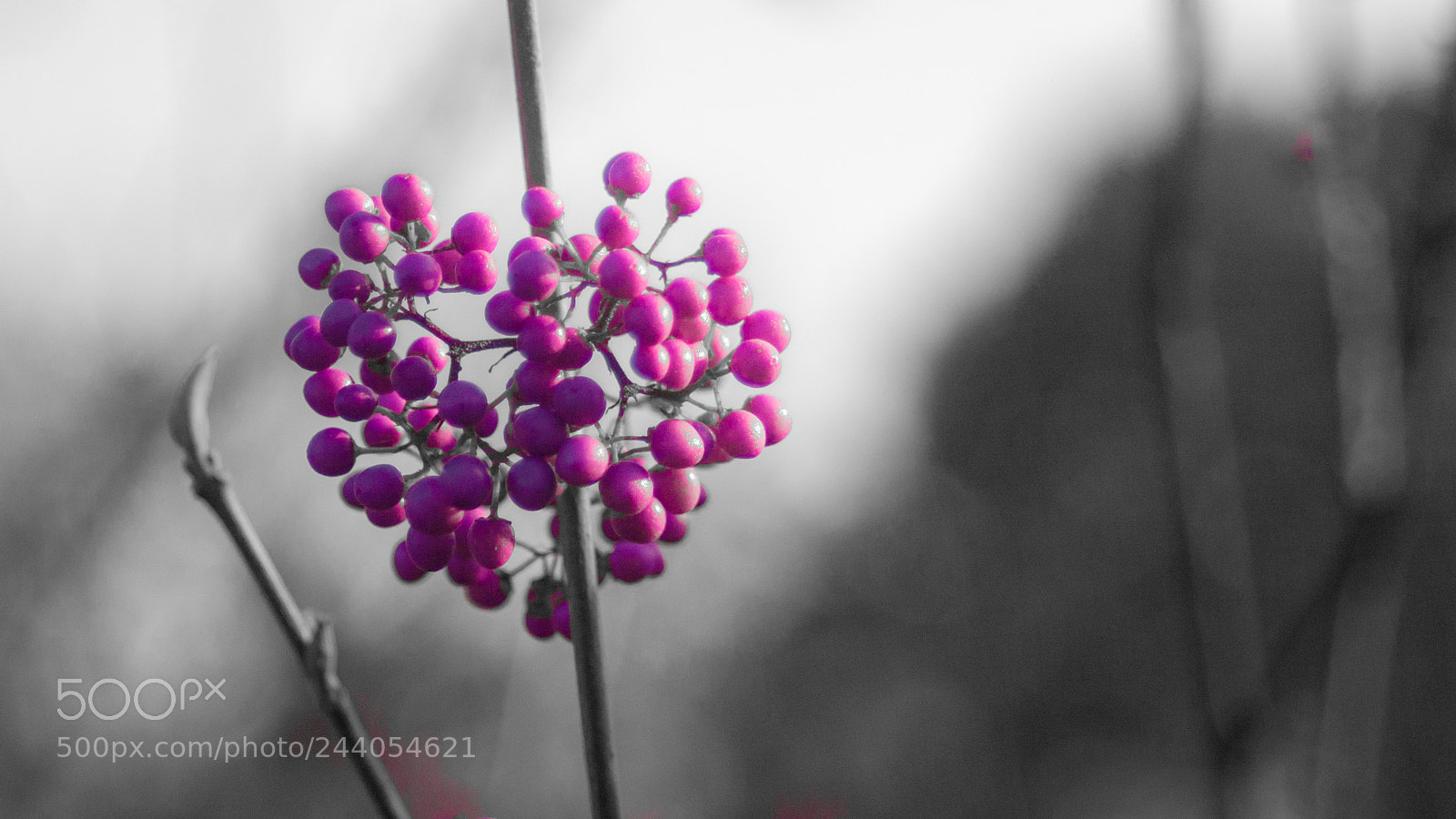 Canon EOS 30D sample photo. Love me, please, love photography