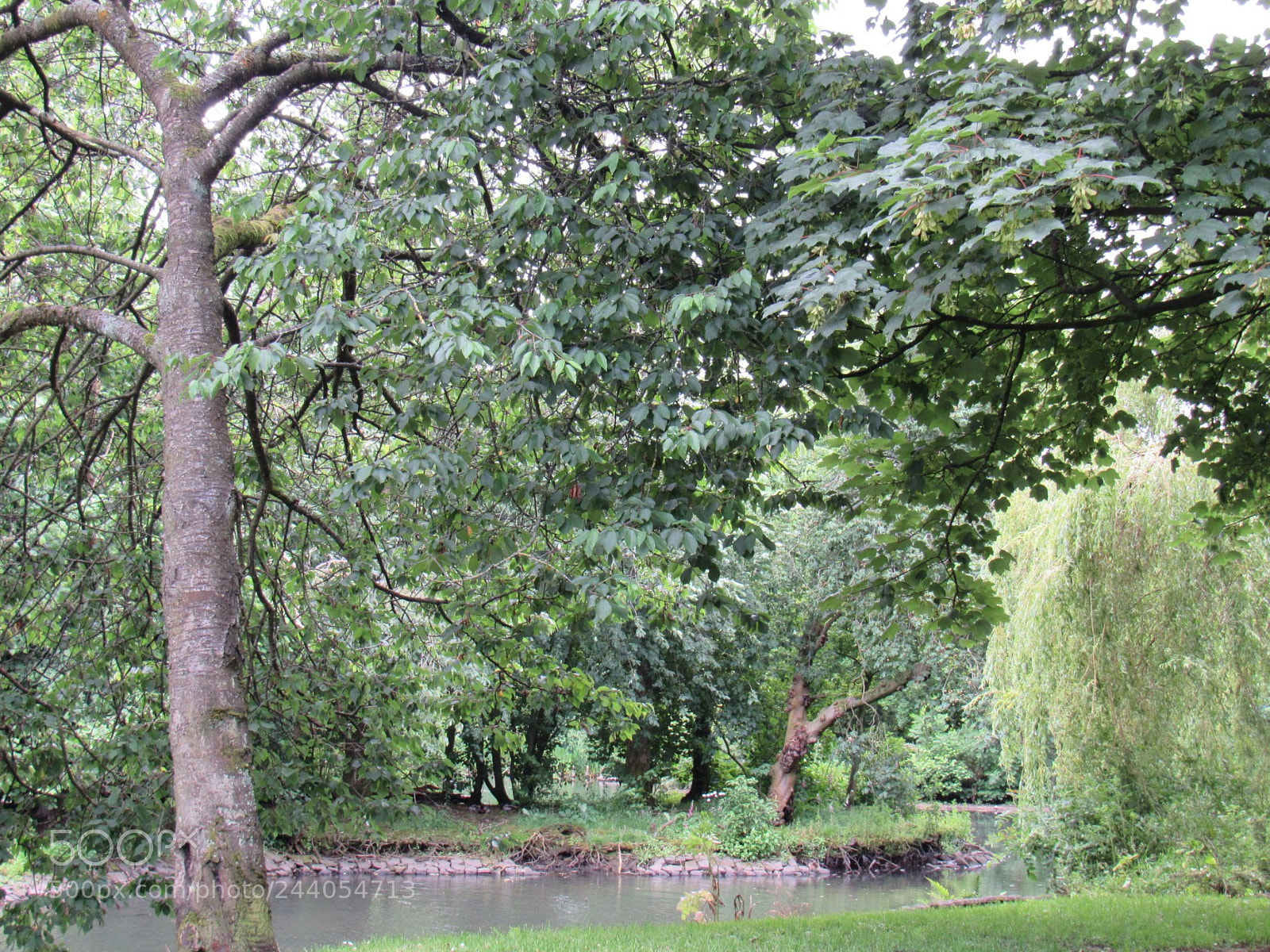 Canon PowerShot SX530 HS sample photo. 26480624_unknown.jpg photography