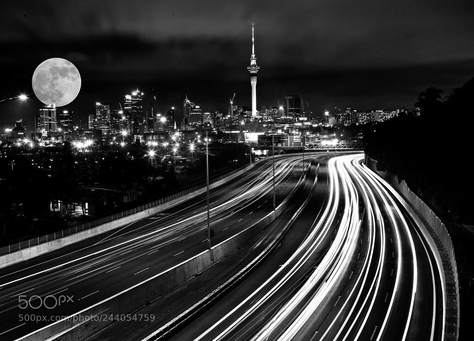 Canon EOS-1Ds Mark III sample photo. Auckland b&w photography