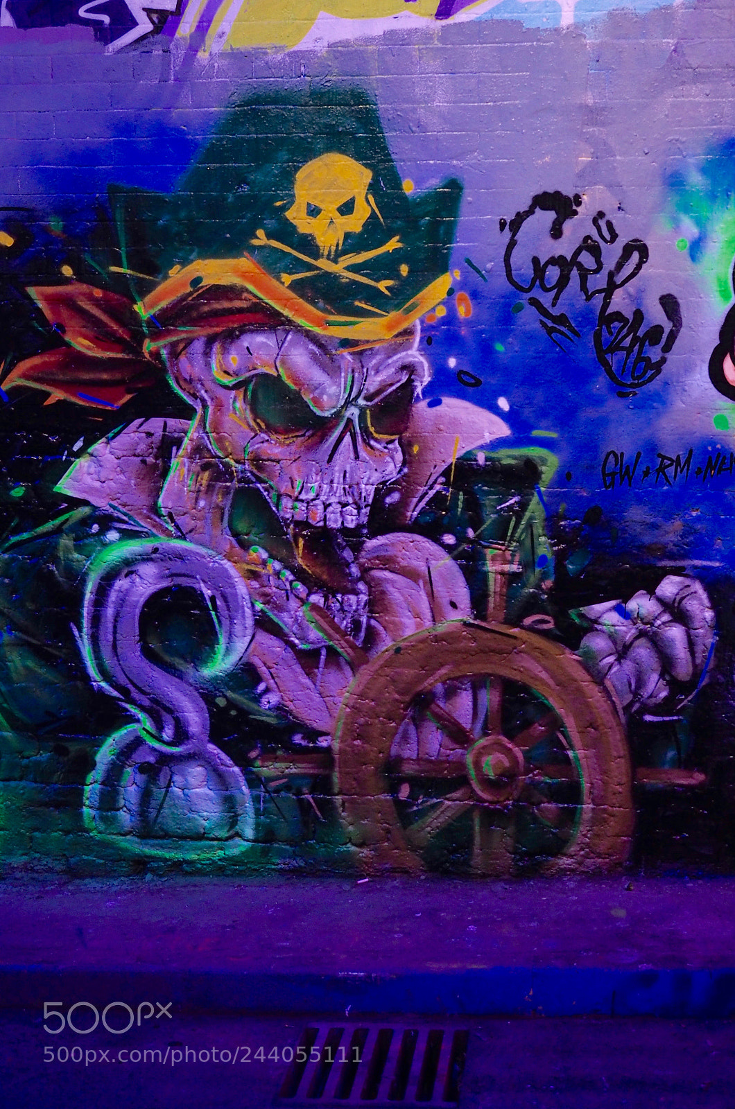 Olympus OM-D E-M5 II sample photo. Pirate photography