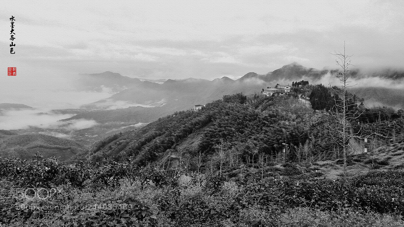 ASUS ZenFone 2 (ZE551ML) sample photo. 水墨大崙山色 photography