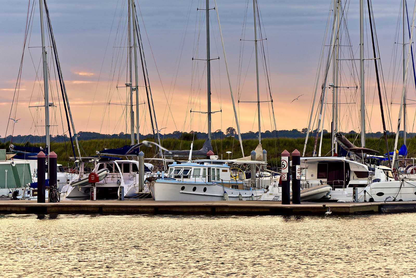 Nikon D810 sample photo. Marina morning photography