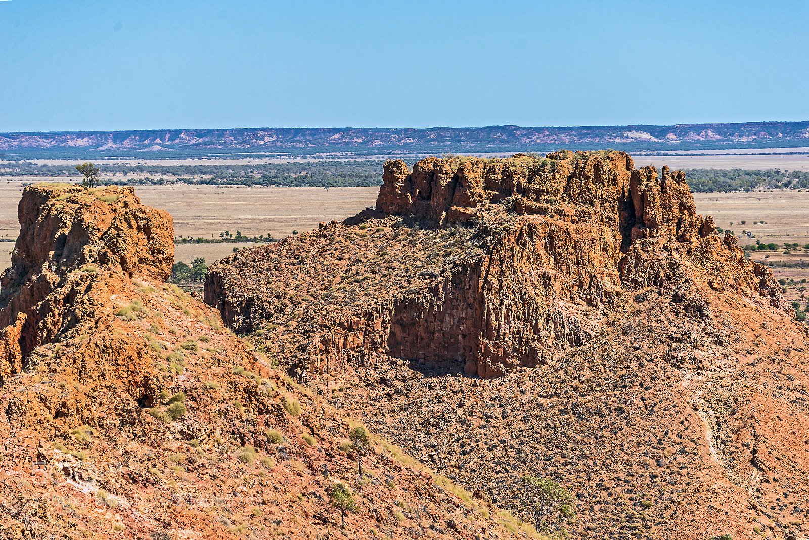 Nikon D610 sample photo. Shapes of the australian photography