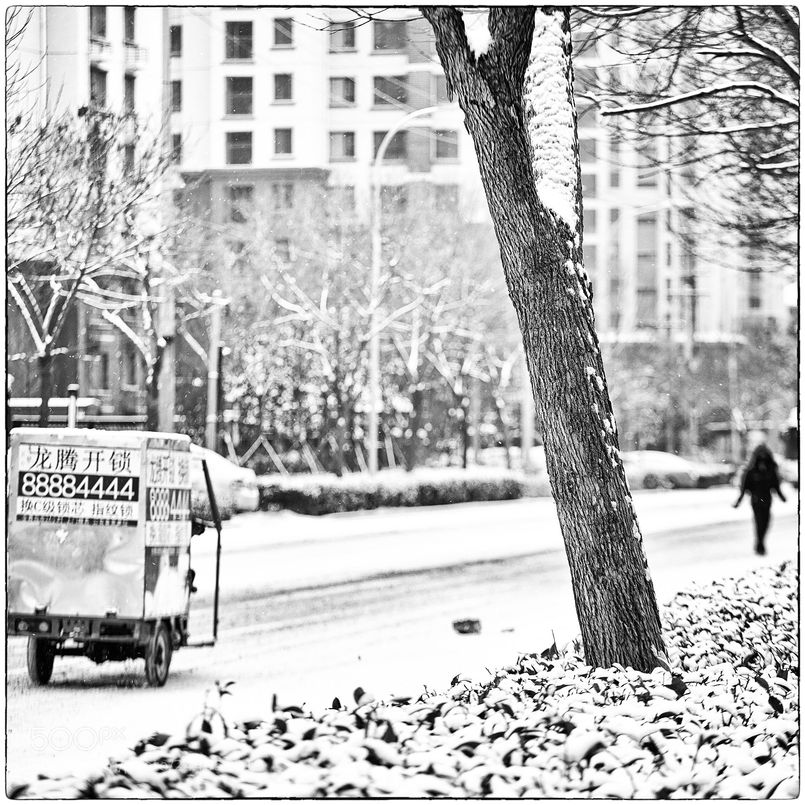 Sony a7R III sample photo. Snowing04 photography