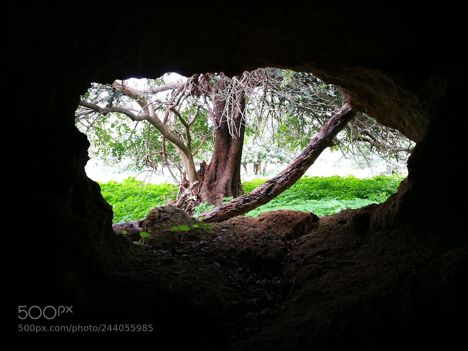 HUAWEI P10 sample photo. Cave photography
