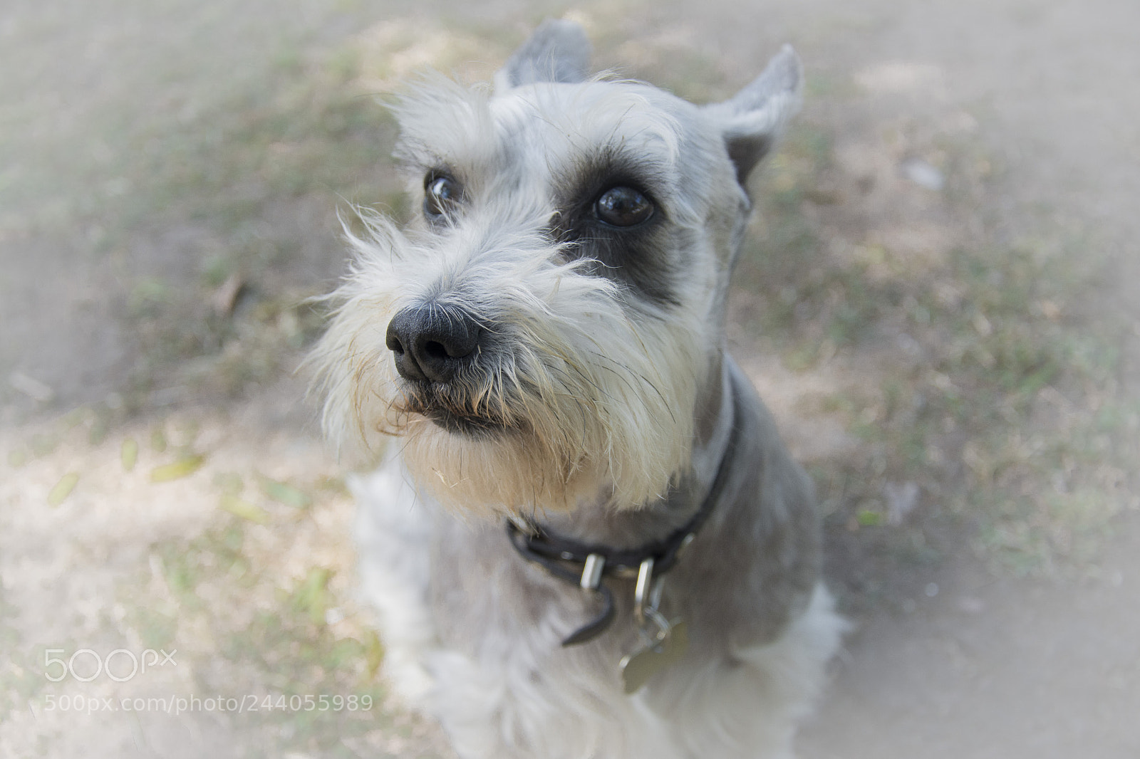 Nikon D7100 sample photo. 14.jpg photography