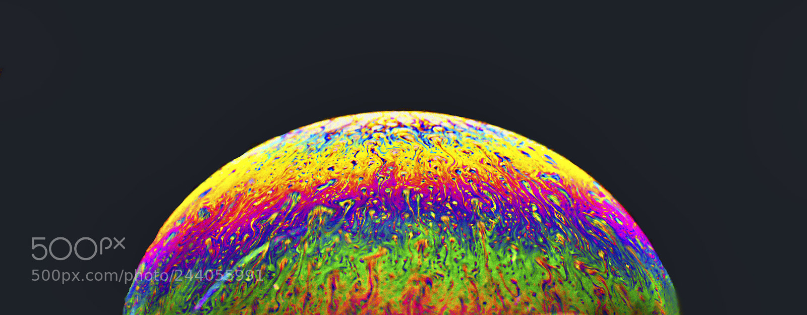 Nikon D810 sample photo. A maze of color photography