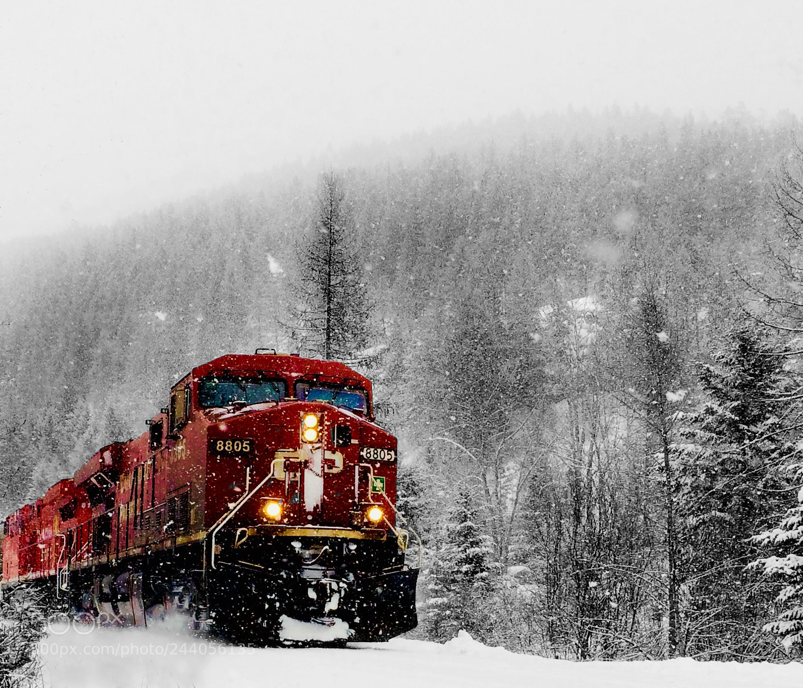 Apple iPhone 5s sample photo. Snowy day in paradise photography