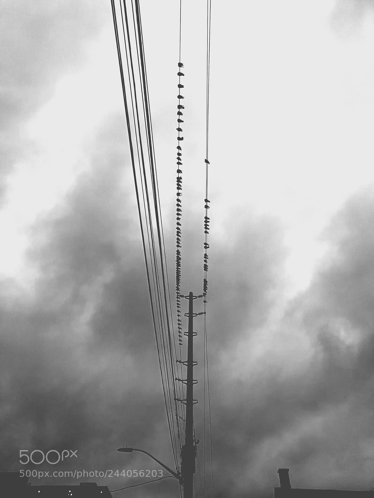 HUAWEI P10 Plus sample photo. Untitled photography