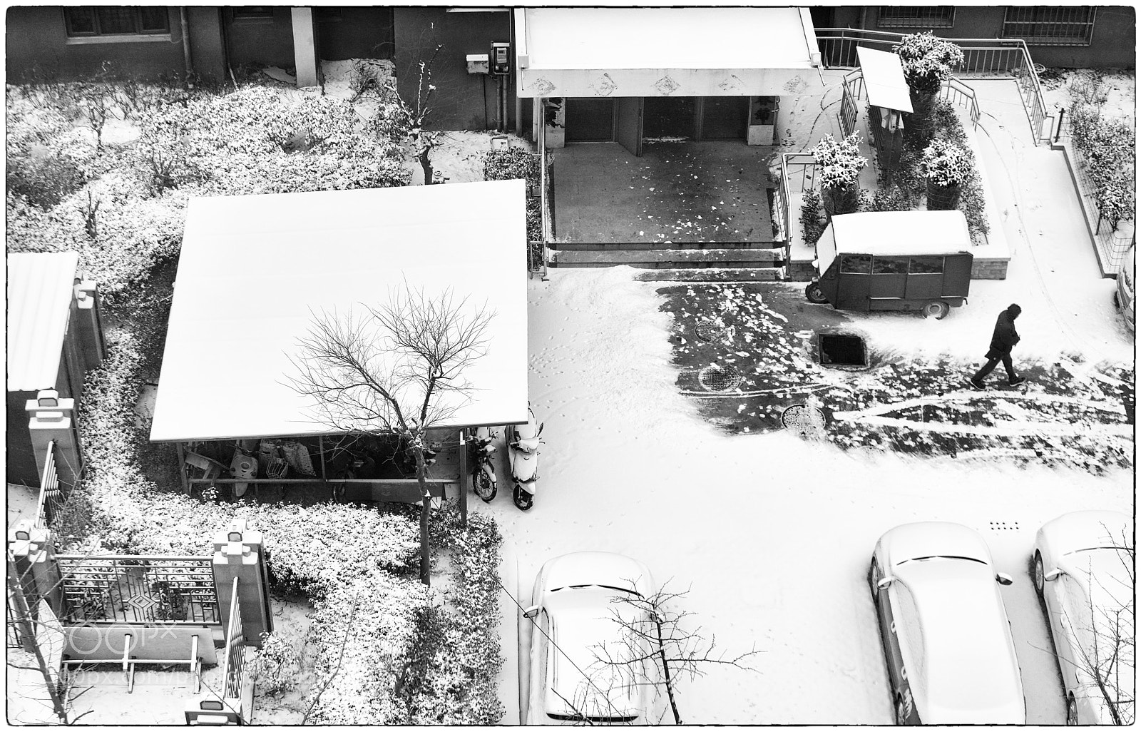 Sony a7R III sample photo. Snowing05 photography
