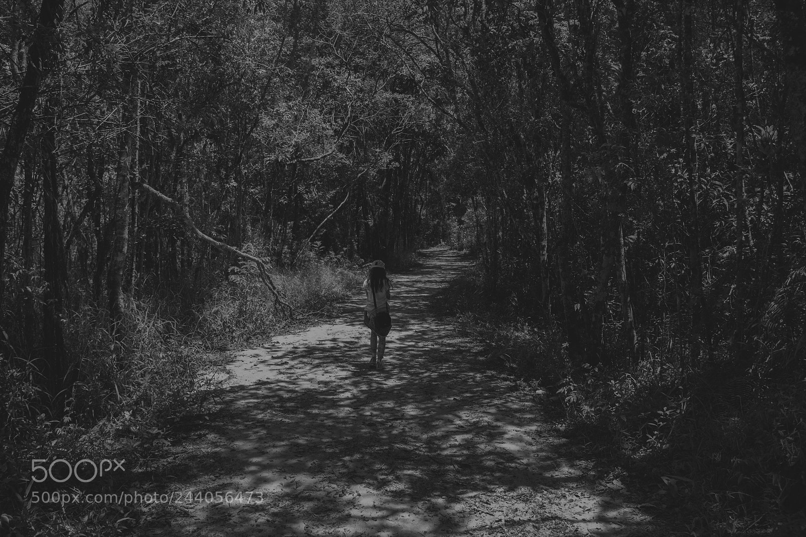 Canon EOS 60D sample photo. Don't look back them photography