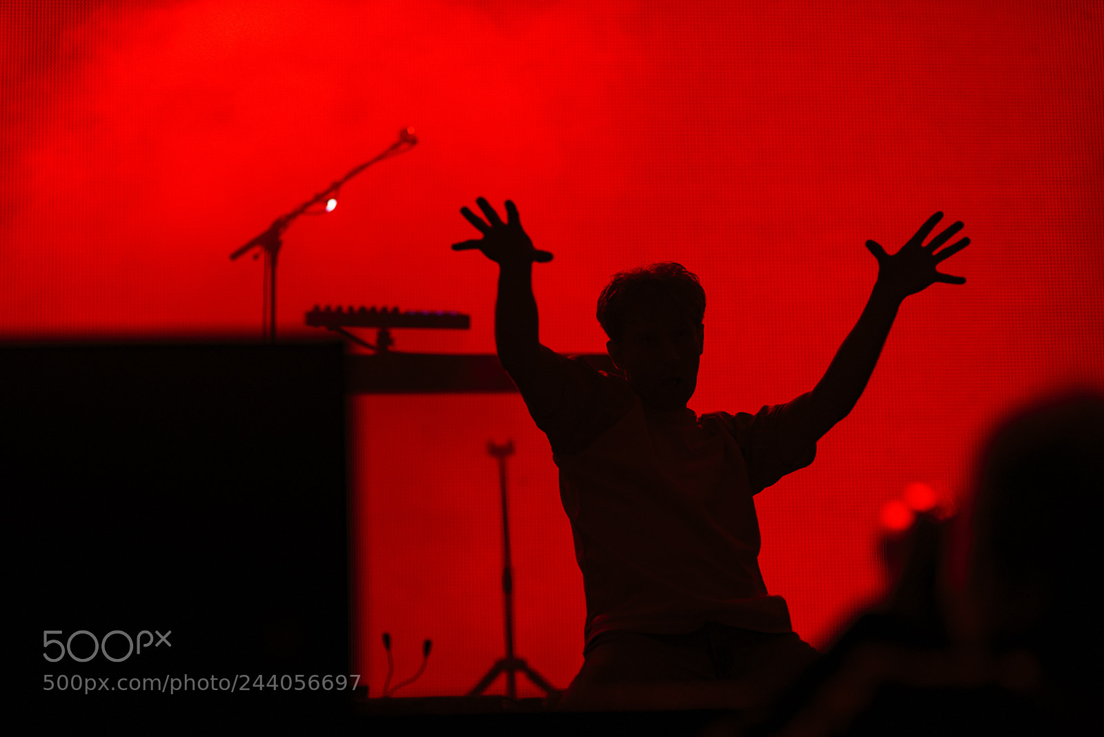 Nikon D800 sample photo. Glass animals photography