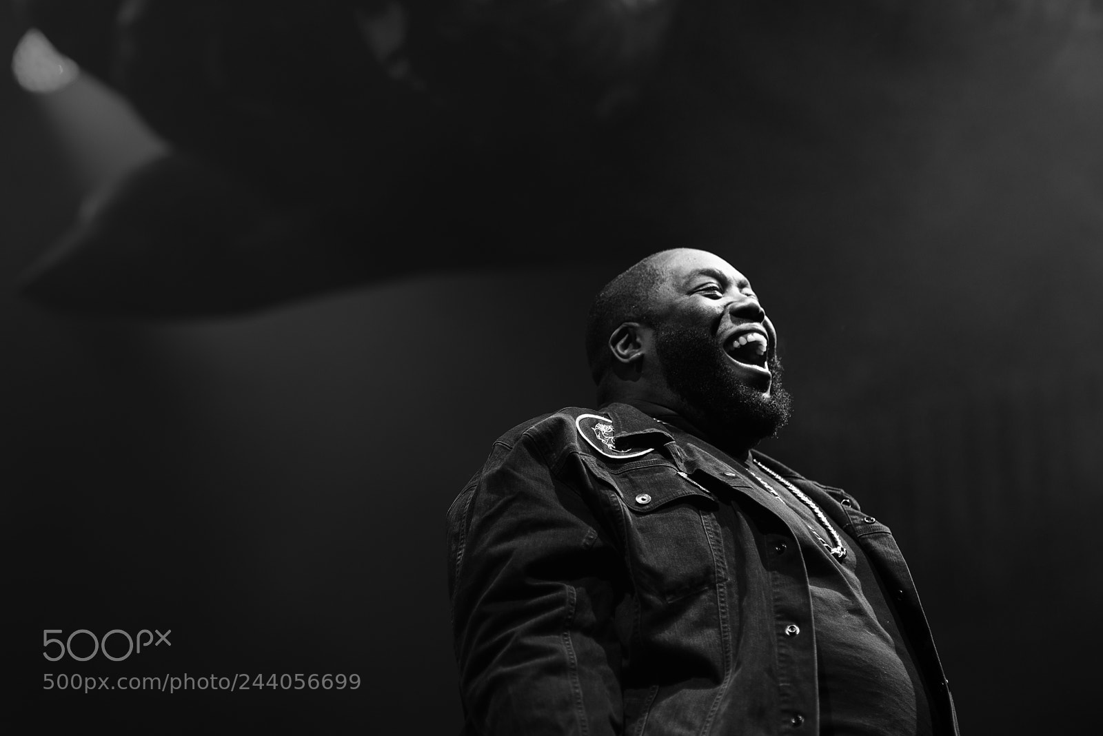 Nikon D800 sample photo. Run the jewels photography