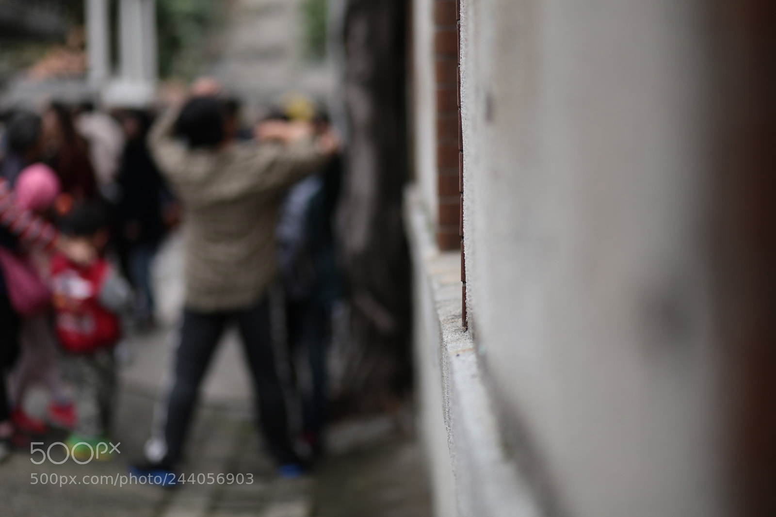 Canon EF 85mm F1.8 USM sample photo. Img photography