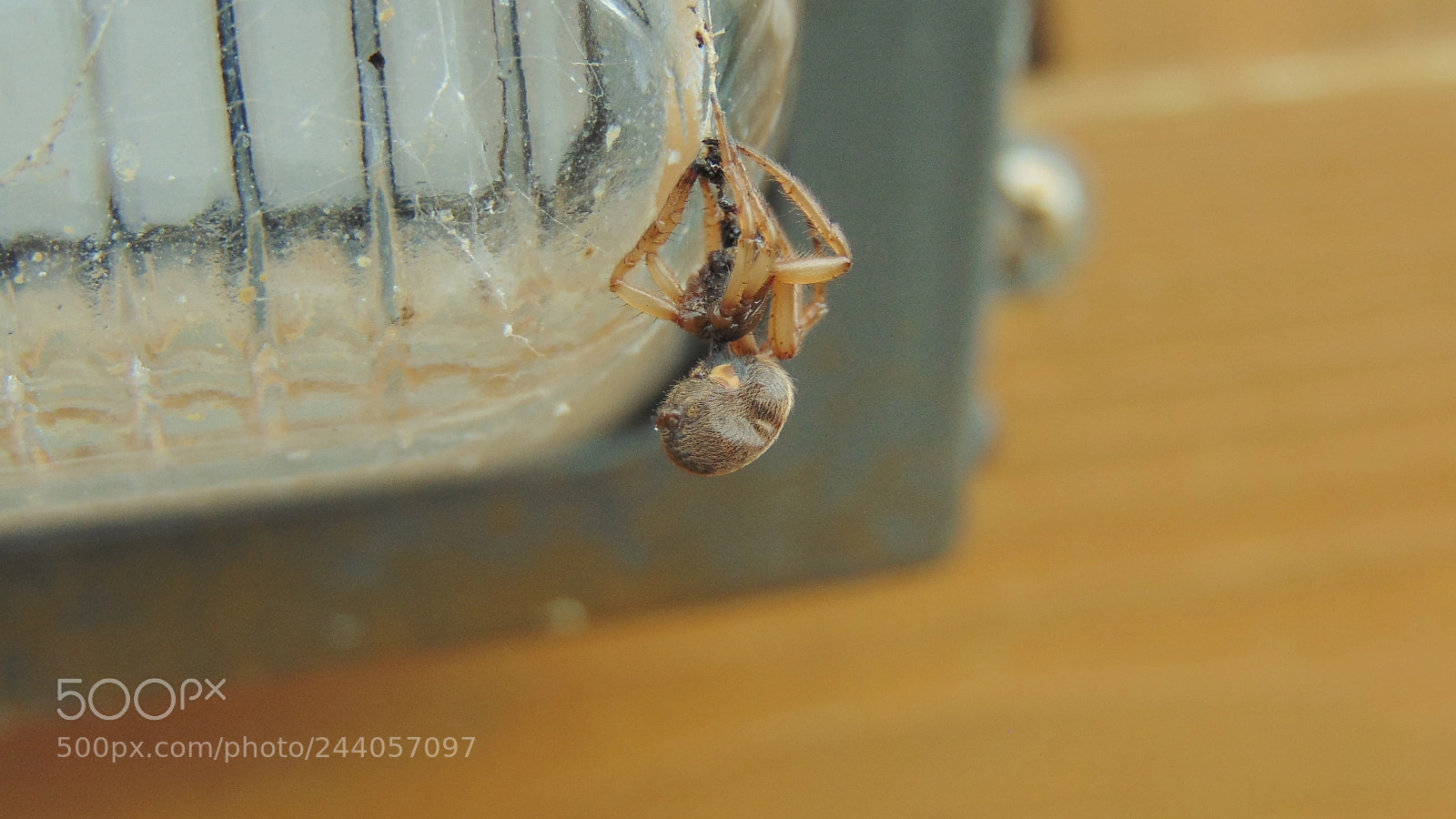 Sony Cyber-shot DSC-H300 sample photo. Corpse photography
