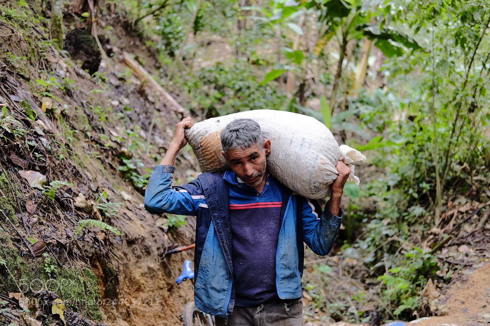 Fujifilm X-T1 sample photo. Coffee farmer photography