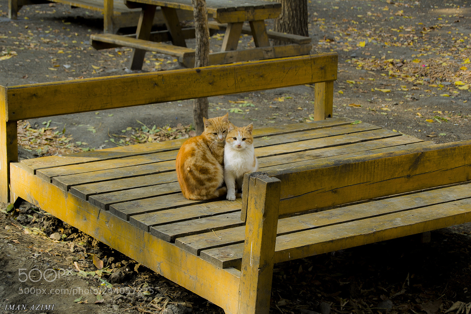 Nikon D3100 sample photo. Untitled photography