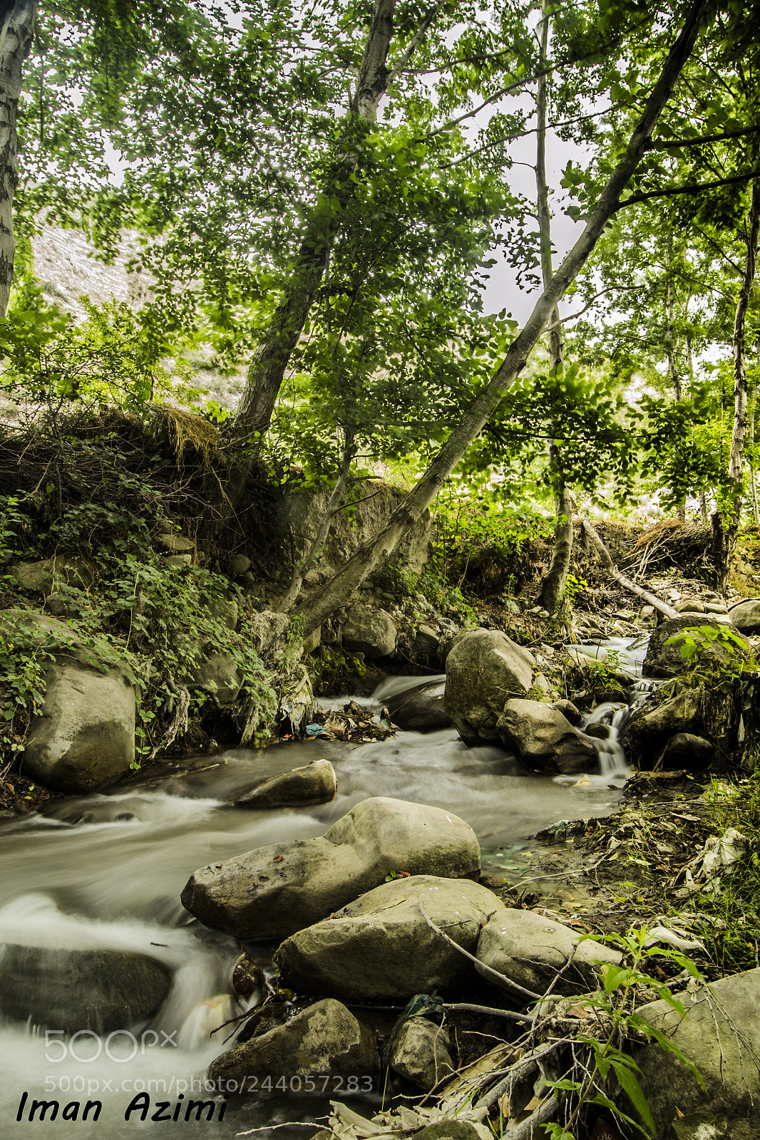 Nikon D3100 sample photo. Untitled photography