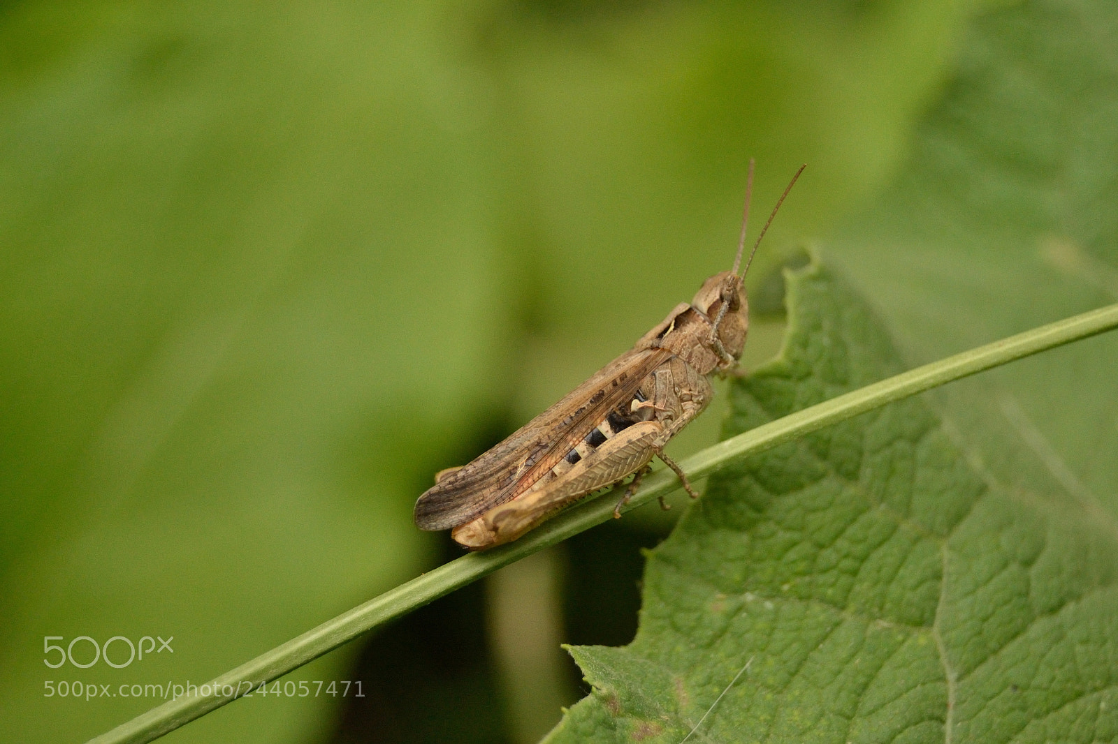 Nikon D3100 sample photo. Untitled photography