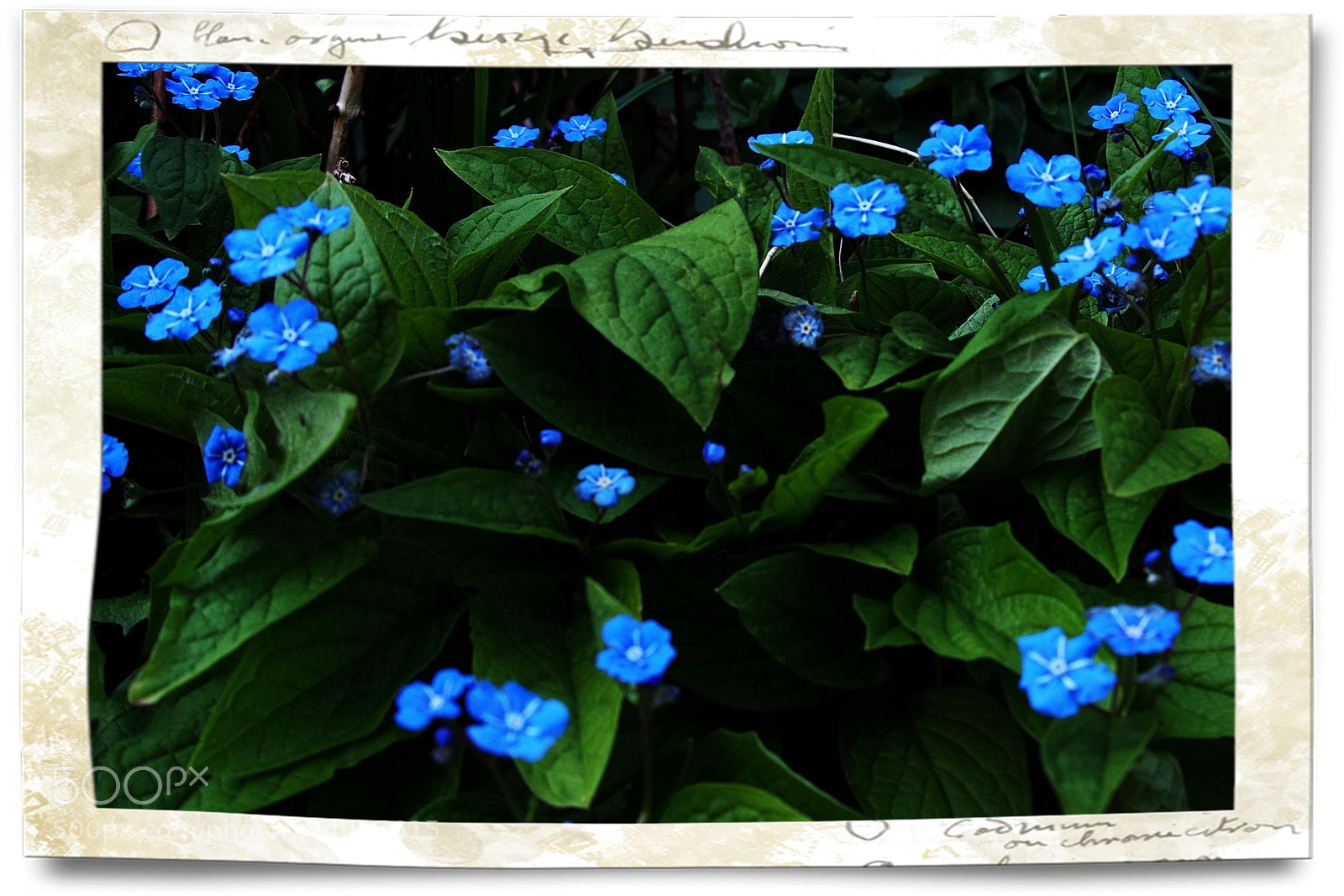 Olympus OM-D E-M5 sample photo. Comeback any time soon... photography