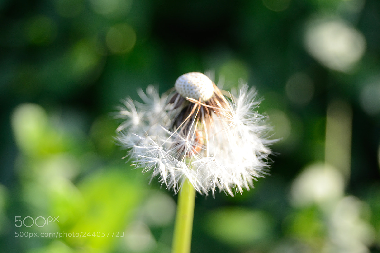 Nikon D3100 sample photo. Untitled photography
