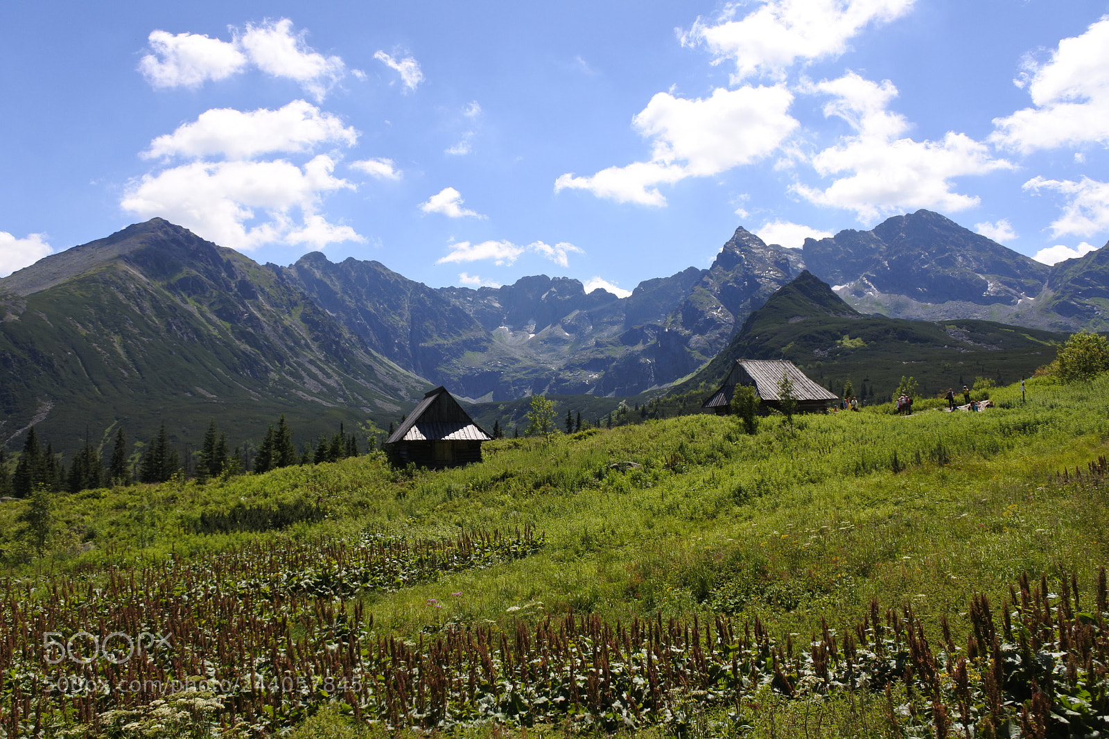 Nikon 1 J5 sample photo. Tatry mountains in zakopane photography