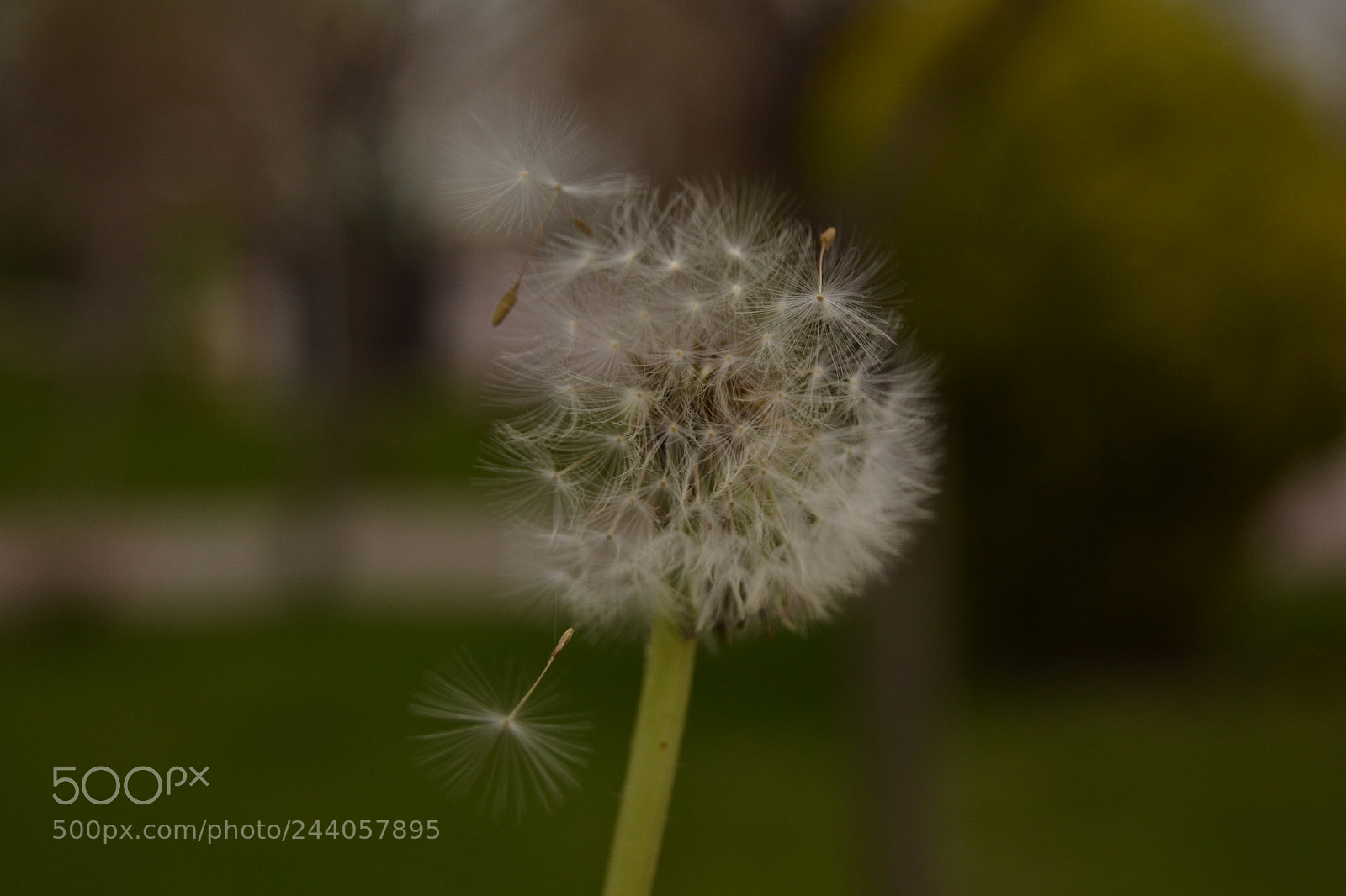 Nikon D3100 sample photo. Untitled photography